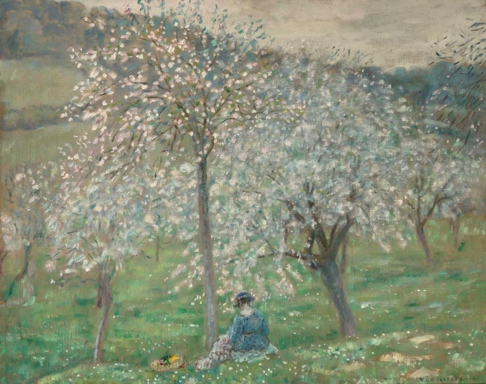 Fiori di primavera